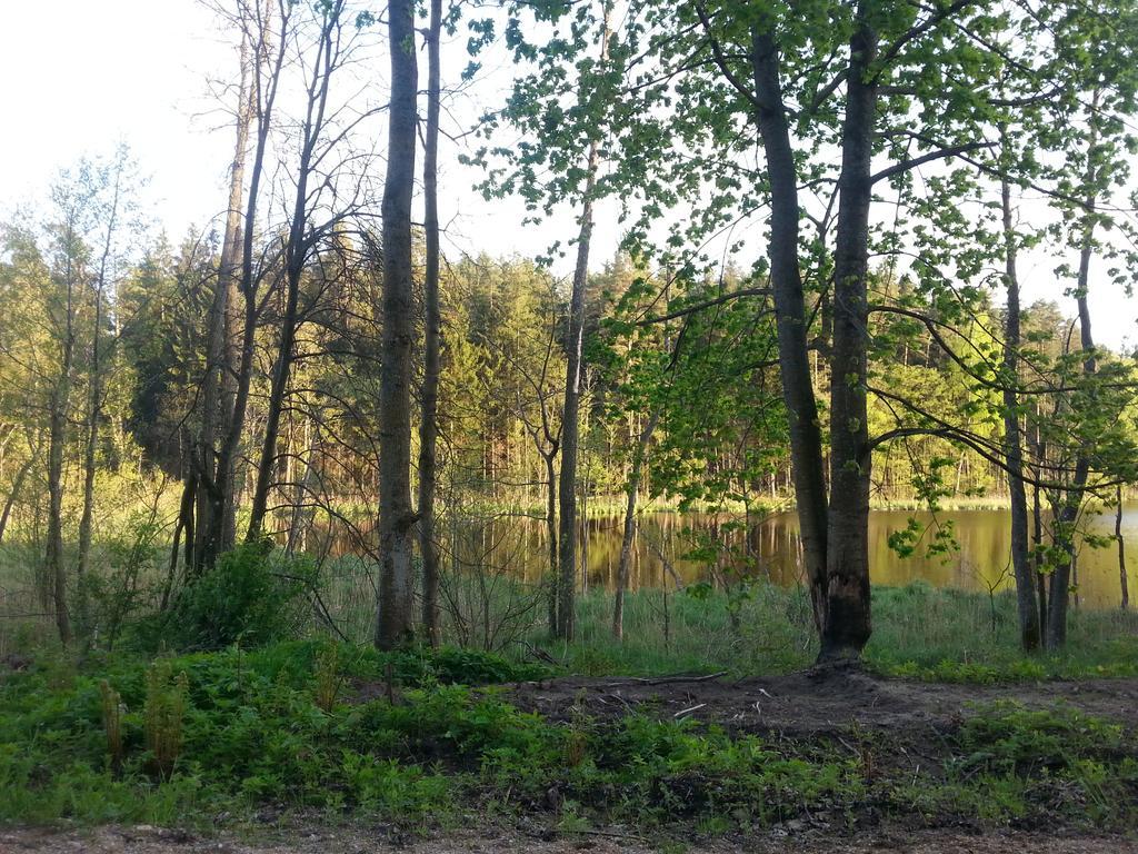 Wiejska Chata Szwalk Luaran gambar