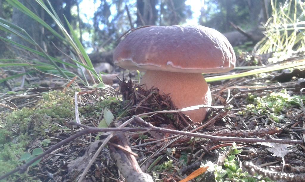 Wiejska Chata Szwalk Luaran gambar