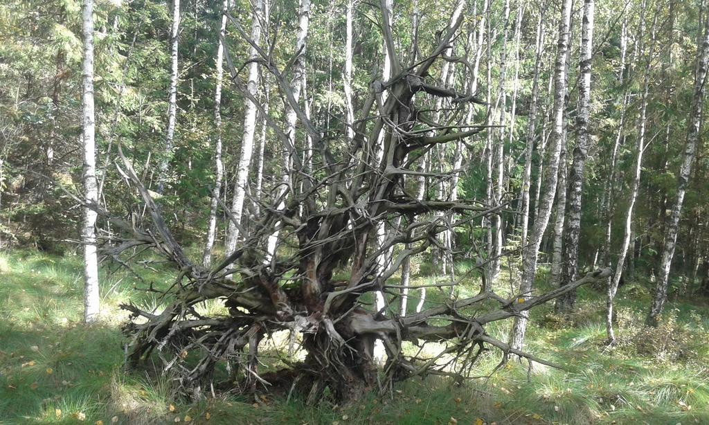 Wiejska Chata Szwalk Luaran gambar